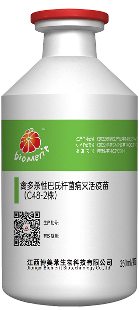 918博天堂·btt(中国游)官方网站