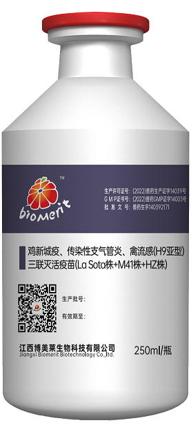 918博天堂·btt(中国游)官方网站