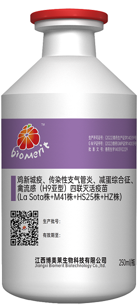 918博天堂·btt(中国游)官方网站