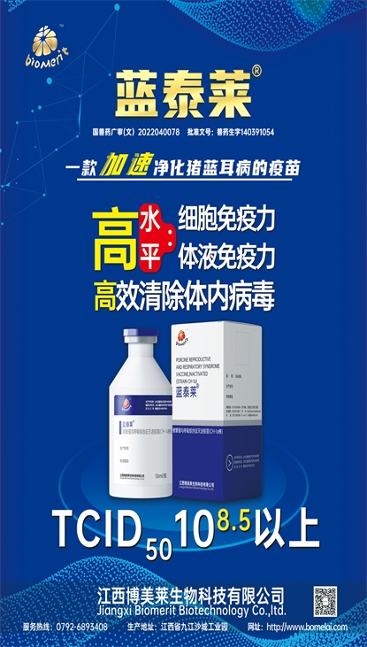 918博天堂·btt(中国游)官方网站