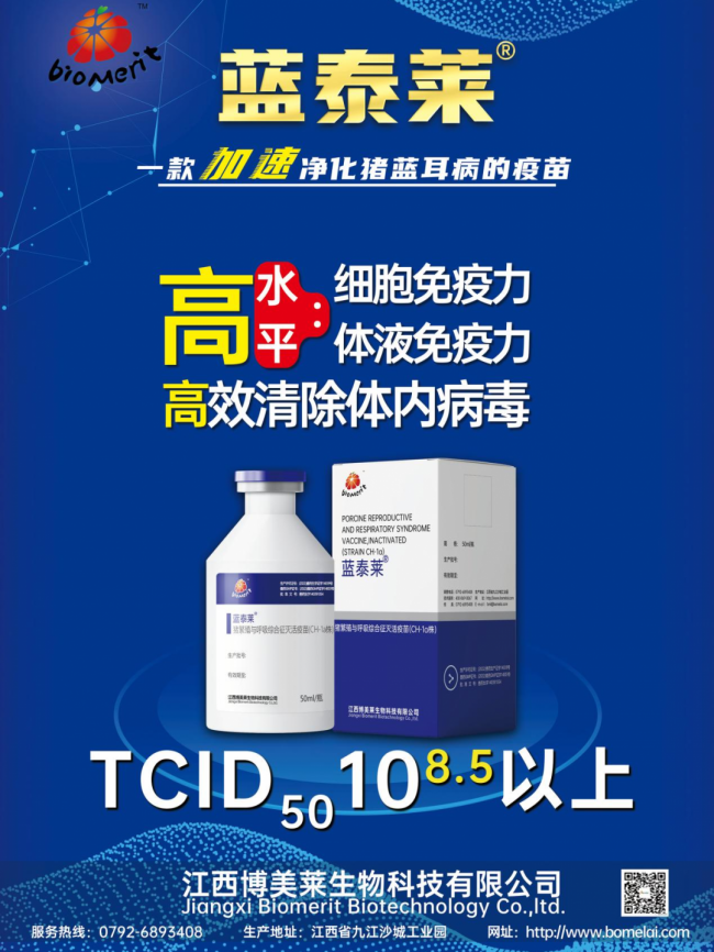 918博天堂·btt(中国游)官方网站