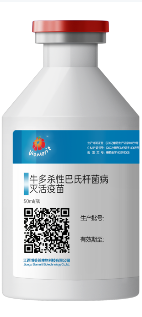 918博天堂·btt(中国游)官方网站