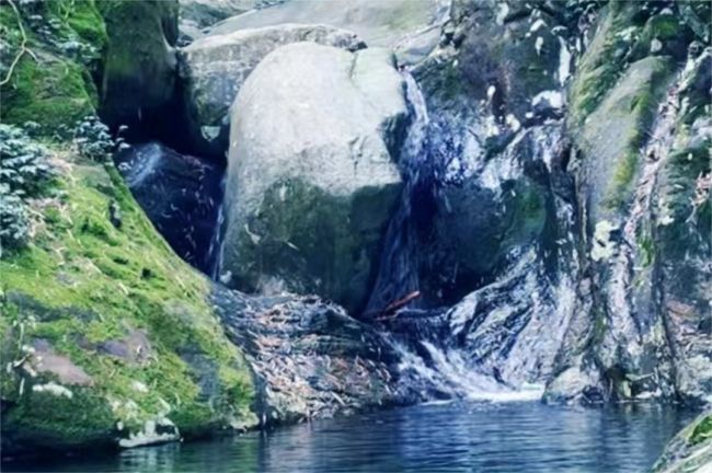 918博天堂·btt(中国游)官方网站