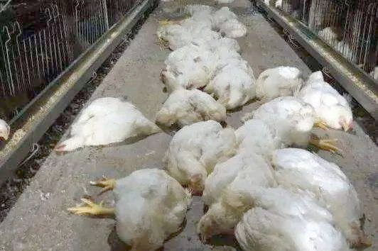 918博天堂·btt(中国游)官方网站