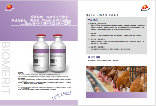 918博天堂·btt(中国游)官方网站