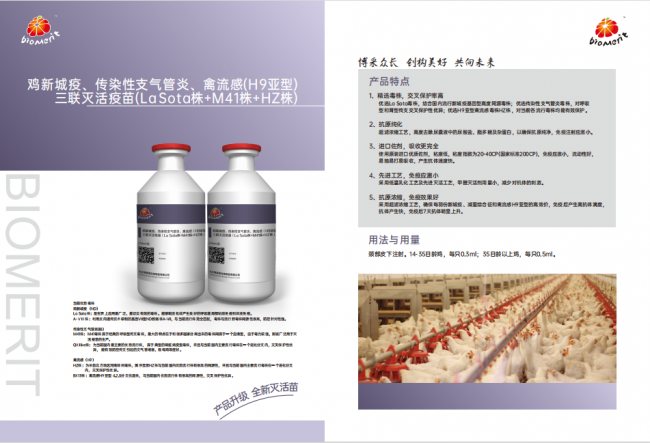 918博天堂·btt(中国游)官方网站