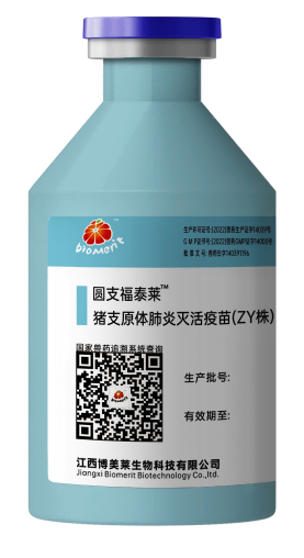 918博天堂·btt(中国游)官方网站