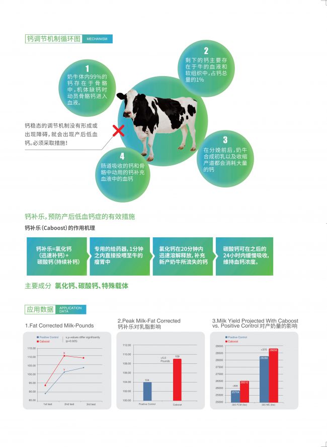 918博天堂·btt(中国游)官方网站