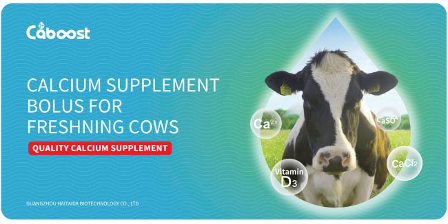 918博天堂·btt(中国游)官方网站