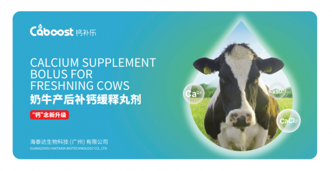 918博天堂·btt(中国游)官方网站